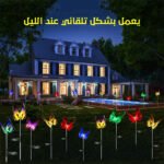 فراشات ديكور