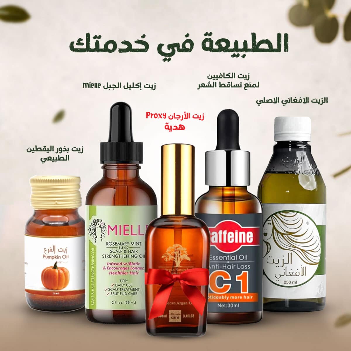 ⁦(زيت بذور اليقطين الطبيعي, الزيت الافغاني الاصلي, زيت الكافيين لمنع تساقط الشعر, زيت إكليل الجبل mielle,  زيت الأرجان Proxy هدية) الطبيعة في خدمتك⁩ - الصورة ⁦1⁩
