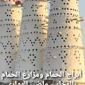 مشروع انشاء برج حمام و مزرعة تربية الحمام بالفخار