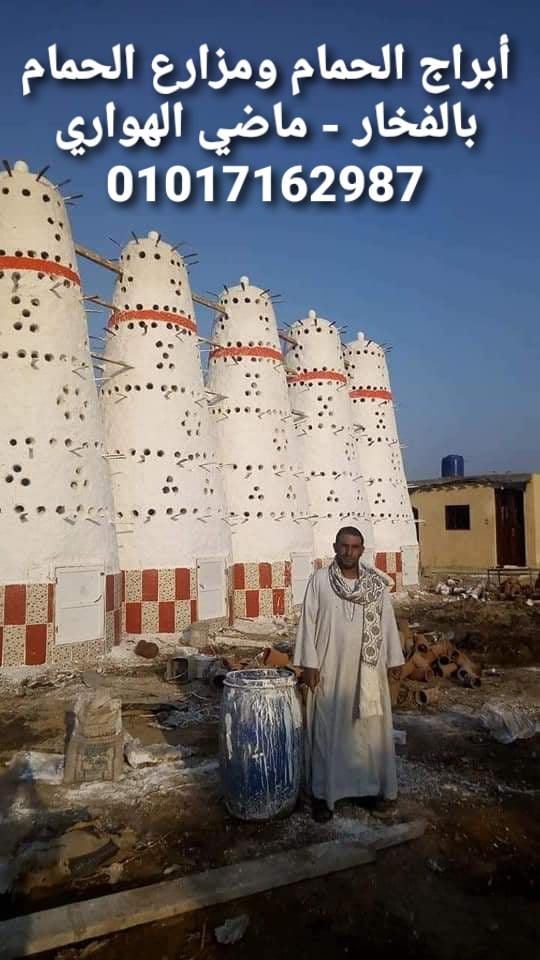 بناء ابراج حمام فخار و مزارع حمام بلدي و حمام لاحم فرنسي باحترافية عالية