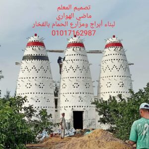 مشروع ابراج تربية الحمام و مزارع تربية الحمام اللاحم الفرنسي