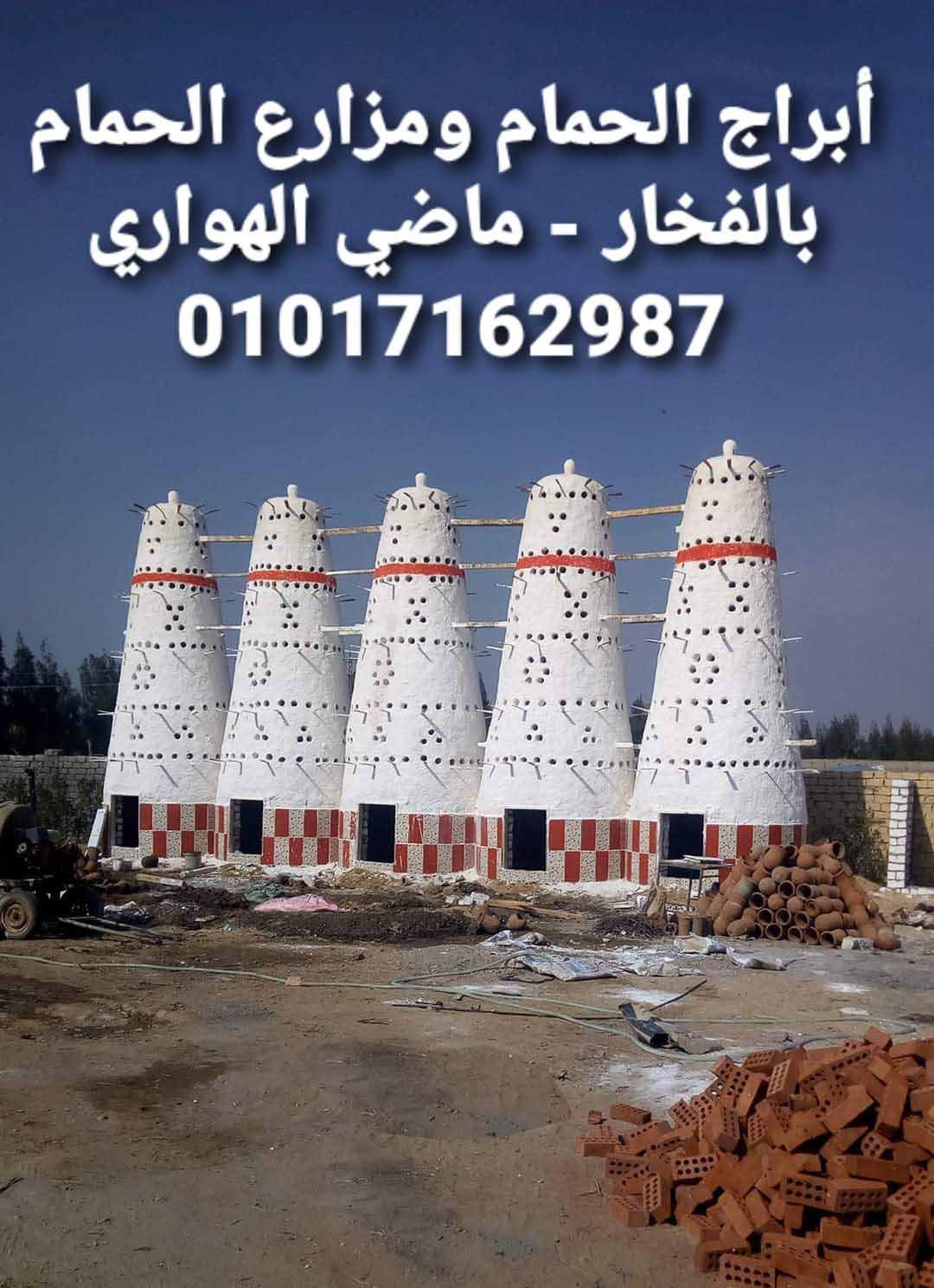 تصميم برج حمام و دراسة جدوى مشروع ابراج الحمام البلدي و الحمام اللاحم الفرنسي