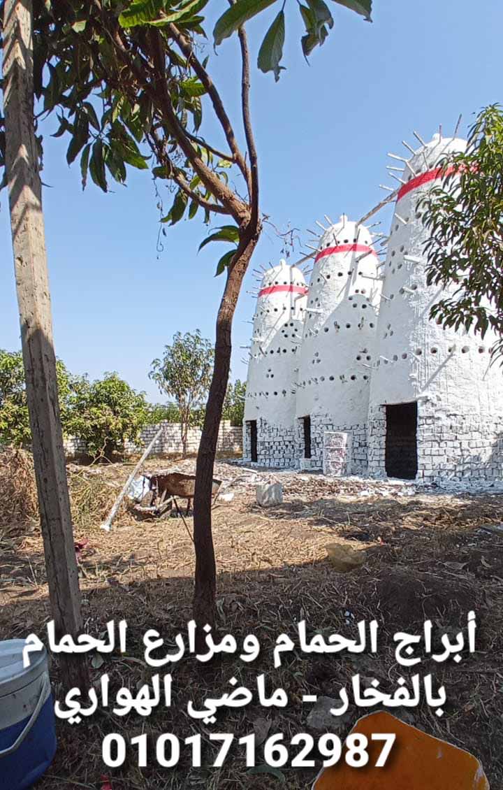 مشروع برج حمام فخار للمنازل والمزارع - تربية الحمام البلدي و الحمام اللاحم الفرنسي